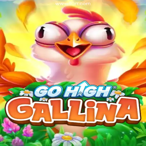 Exploring the Excitement of GoHighGallina: A Unique Gaming Experience