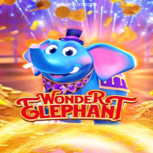 Discover the World of WonderElephant and the Thrill of Online Gaming with 40rr Oficial 💯️