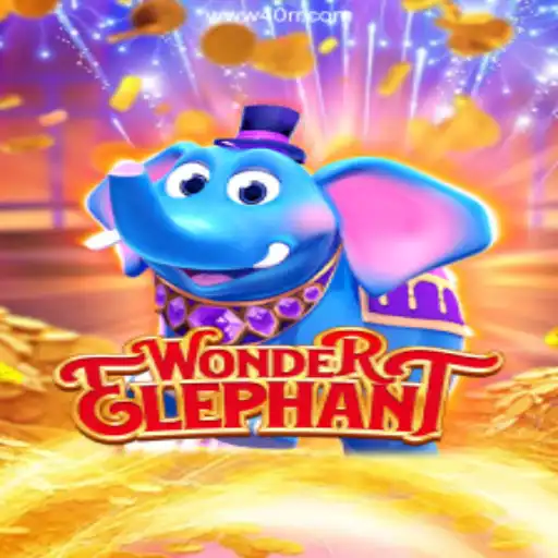 Discover the World of WonderElephant and the Thrill of Online Gaming with 40rr Oficial 💯️